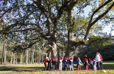 I piccoli della Scuola dell'infanzia Zvjezdice alla scoperta dei segreti del Parco bosco Siana