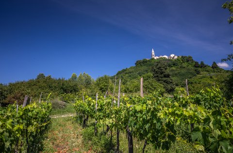 Pubblicato l'Invito pubblico per il finanziamento di progetti/programmi di associazioni nell'ambito della copertura del fabbisogno pubblico nel settore dell'agricoltura, della silvicoltura, della caccia, della pesca e della gestione idrica